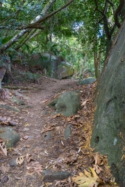 015_weg_20241002_R0459_web