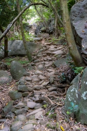 016_weg_20241002_R0540_web