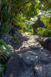 Auf dem Weg zum Anse Mayor
