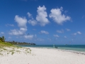 kite_20250323_R6569_web
