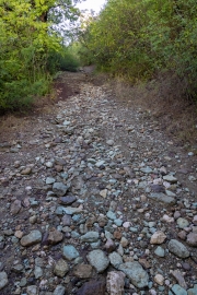 Weg auf den Monk's Hill