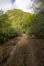 Weg auf den Monk's Hill