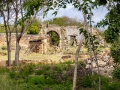 shirleys_20250226_R3039_web