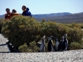 Excursion Isla Cormoran