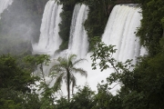 Iguazu