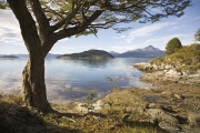 Nationalpark Tierra del Fuego