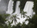 Iguazu