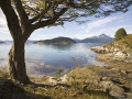 Nationalpark Tierra del Fuego