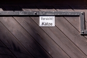 Achtung: (Kampf) Katze