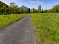 Rad-/Wanderweg entlang der Elster