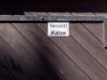 Achtung: (Kampf) Katze