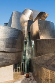 Guggenheim Museum