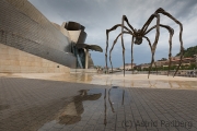 Maman, Louise Bourgeois