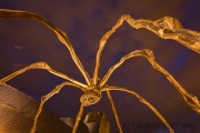 Maman, Louise Bourgeois