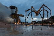 Maman, Louise Bourgeois /Fire Fountain, Yves Klein