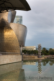 Tall Tree and the eye, Anish Kapoor