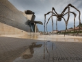 Maman, Louise Bourgeois