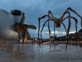 Maman, Louise Bourgeois /Fire Fountain, Yves Klein