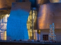 Tall Tree and the eye, Anish Kapoor