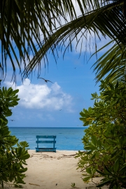 Bird Island