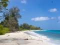Strand, Bird Island