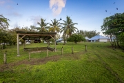 Check-In am Flugfeld auf Bird Island