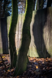 Mauer des Zoologischen Gartens