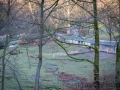 Blick in den Grünen Zoo Wuppertal