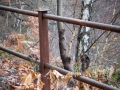 Altes Geländer, Sambatrasse