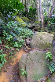 Wanderung nach Copolia