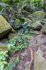 Wanderung nach Copolia