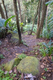 Wanderung nach Copolia