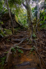 Wanderung nach Copolia