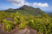 Blick auf den Morne Seychelloise