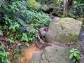Wanderung nach Copolia