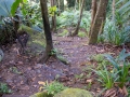 Wanderung nach Copolia