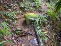 Wanderung nach Copolia