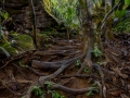 Wanderung nach Copolia