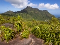 Blick auf den Morne Seychelloise