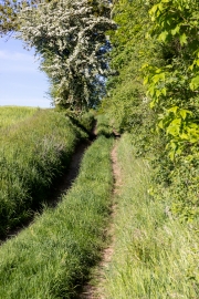 Wanderweg nach Etzdorf