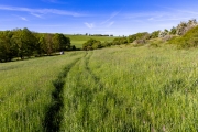 Wanderweg nach Etzdorf