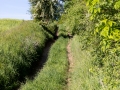 Wanderweg nach Etzdorf