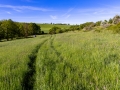 Wanderweg nach Etzdorf