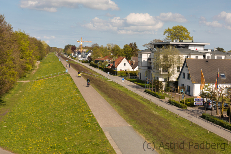 Auf dem Darß, Deich in Zingst