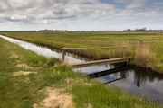 Felder bei Zingst