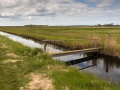 Felder bei Zingst