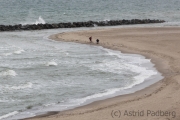 Weststrand, Darß