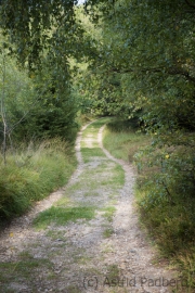 Wanderweg, Teutoburger Wald