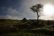 Weg von Ivybridge nach Holne