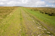 Weg von Ivybridge nach Holne